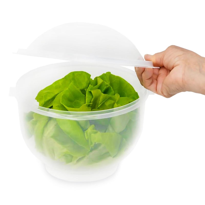 Home-X Lettuce Keeper - BPA-Free Lettuce Keeper for Refrigerator to Keep Salads and Vegetables Fresh - 7" x 8" Lettuce Crisper with Drainage Reservoir - Clear See-Through Vegetable and Fruit Crisper - Image 1